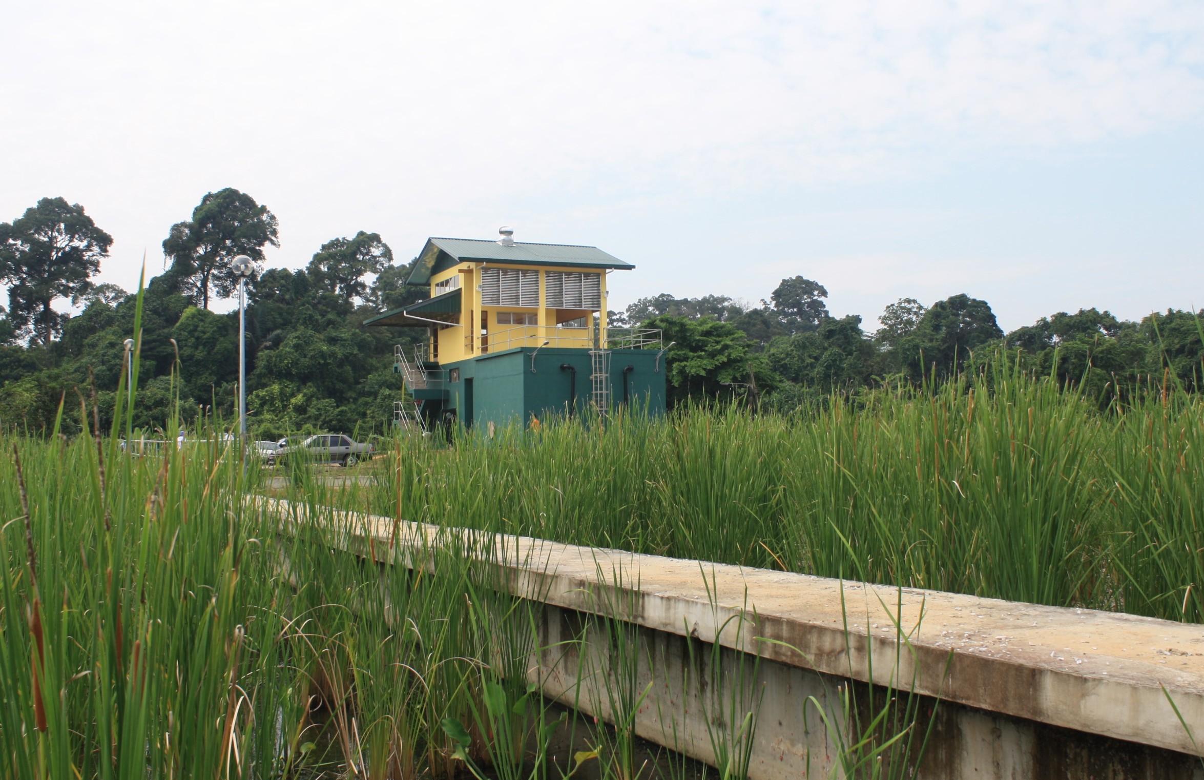 Sewage Treatment Plant view from Wetland cell 1